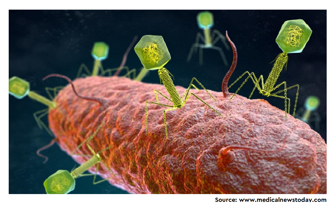 Bacteriophage-resistant Acinetobacter baumannii are resensitized to  antimicrobials. - Prevent It