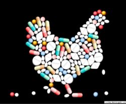 Antibiotic use in food animals worldwide, with a focus on Africa: Pluses and minuses