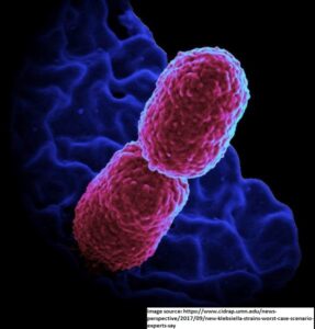 Klebsiella pneumoniae: an increasing threat to public health