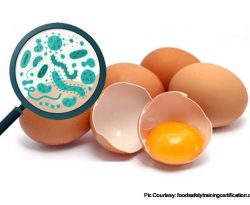 Isolation, Identification and Resistance of Salmonella spp. in Eggs for Human Consumption