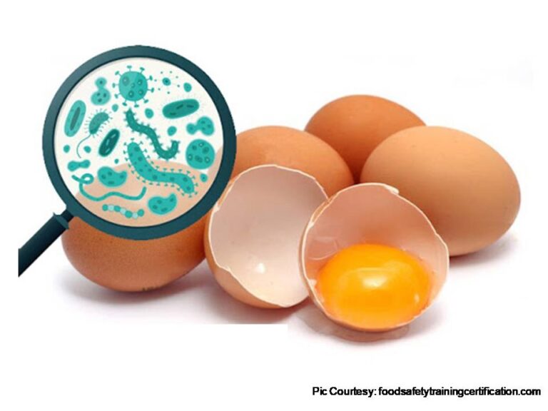 Isolation, Identification and Resistance of Salmonella spp. in Eggs for
