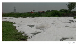 Sewage mediated transfer of antibiotic resistance to River Yamuna in Delhi, India