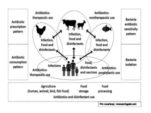 Harmonized One Health Trans-Species and Community Surveillance for Tackling Antibacterial Resistance in India: Protocol for a Mixed Methods Study
