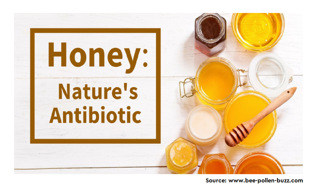 Honey: Another Alternative in the Fight against Antibiotic-Resistant Bacteria?