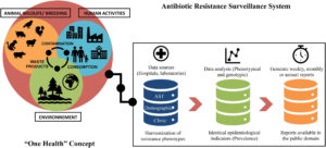 Antibiotic resistance surveillance systems: A review