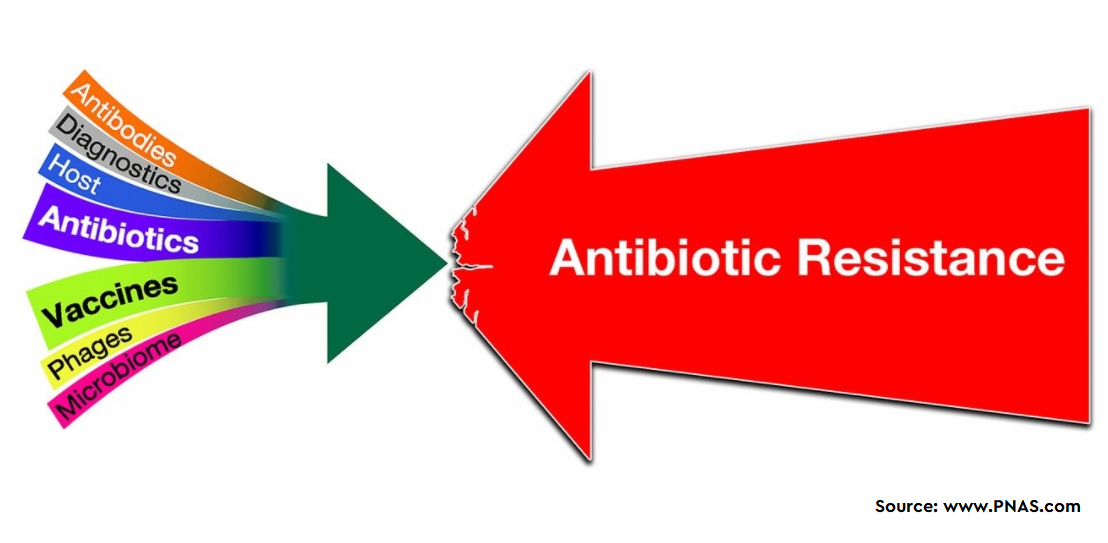 Antimicrobial resistance (AMR) and Antibacterial Resistance (ABR)