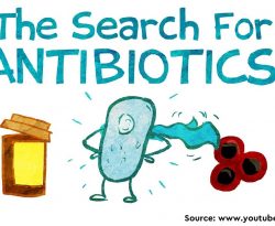 An Update on Eight “New” Antibiotics against Multidrug-Resistant Gram-Negative Bacteria