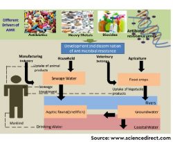 Environmental Antimicrobial Resistance and Its Drivers: A Potential Threat to Public Health