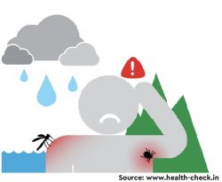 A Hot Topic at the Environment–Health Nexus: Investigating the Impact of Climate Change on Infectious Diseases