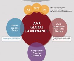 Governing Antimicrobial Resistance: A Narrative Review of Global Governance Mechanisms