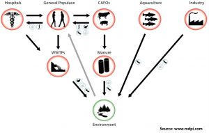 Gentamicin at Sub-Inhibitory Concentrations Selects for Antibiotic Resistance in the Environment
