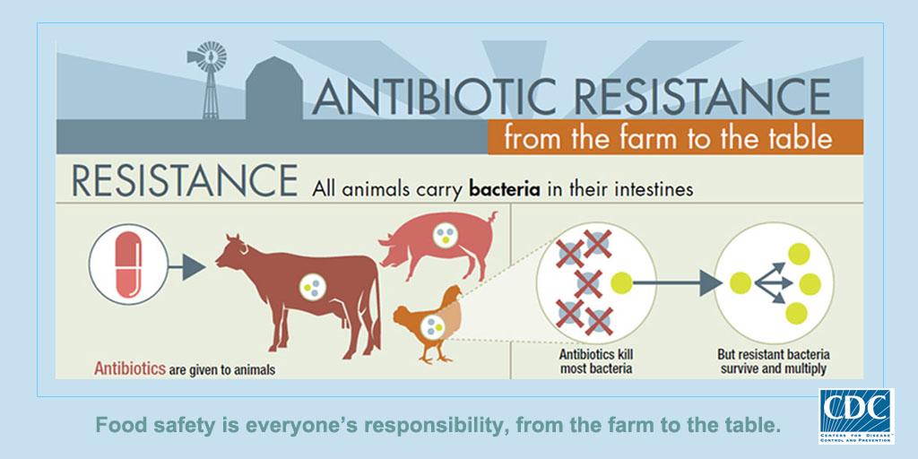 Residual Antimicrobial Agents in Food Originating from Animals