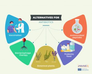 Short Review on the Potential Alternatives to Antibiotics in the Era of Antibiotic Resistance