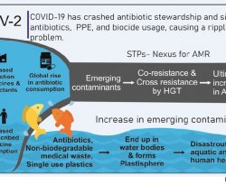 Antimicrobial Resistance and One Health in the Post COVID-19 Era: What Should Health Students Learn?