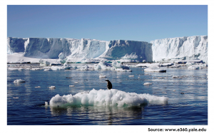 Antimicrobial Resistance in Antarctica: Is It Still A Pristine Environment?