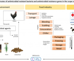 Antimicrobial Resistance in the Globalized Food Chain: A One Health Perspective Applied to the Poultry Industry