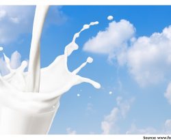 Antibiotic Residues in Milk: Control Strategies in Dairy Animals
