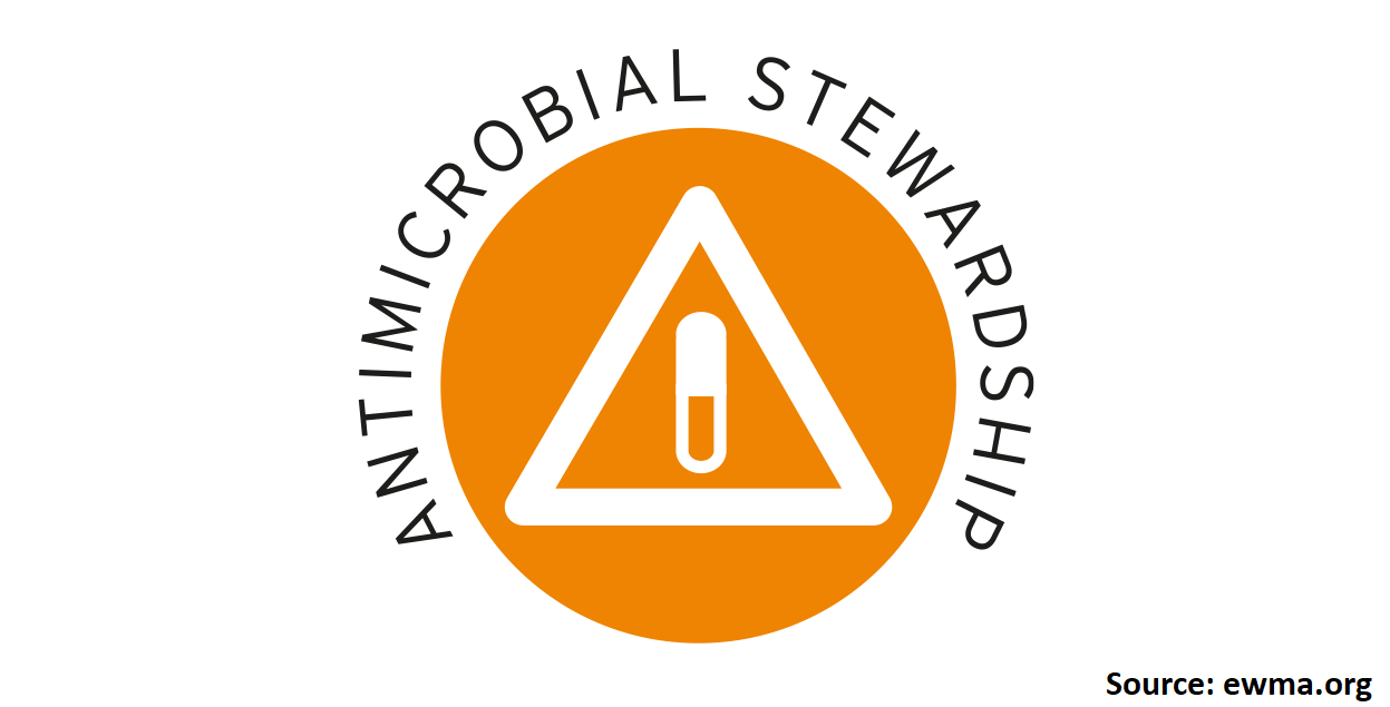 An Overview of Antimicrobial Stewardship Optimization: The Use of Antibiotics in Humans and Animals to Prevent Resistance