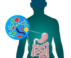 Survival and Virulence Potential of Drug-Resistant E. coli in Simulated Gut Conditions and Antibiotic Challenge